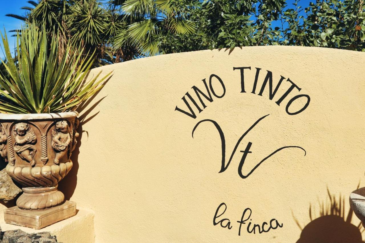 Finca Vino Tinto 5S Икод-де-лос-Винос Экстерьер фото