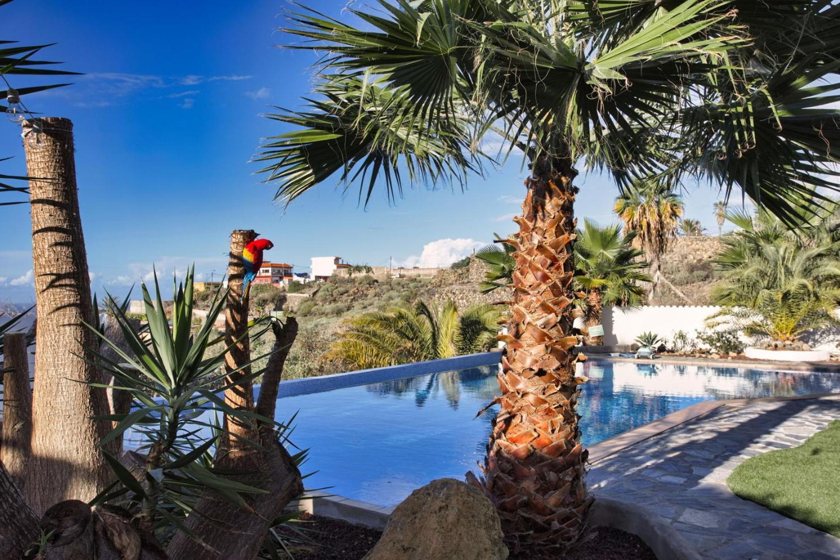 Finca Vino Tinto 5S Икод-де-лос-Винос Экстерьер фото